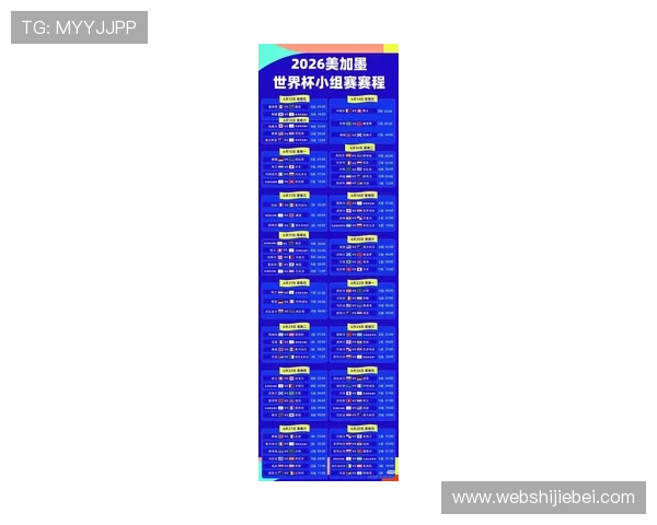 2026年世界杯的直播平台选择与观看指南全解析