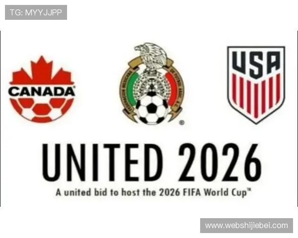 2026年世界杯官方赞助商合作案例分享，成功品牌借助赛事实现品牌价值最大化